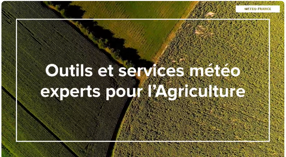 Lien vers la vidéo sur la plateforme Youtube.com