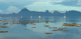 Vignette Climatologie PF