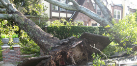 VIGNETTE CERTIFICAT INTEMPERIE