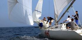 VIGNETTE CHAMP DE VENT