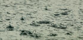 VIGNETTE COEFFICIENTS DE MONTANA