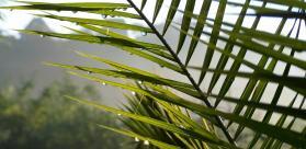 VIGNETTE COEFFICIENTS DE MONTNA OUTRE-MER