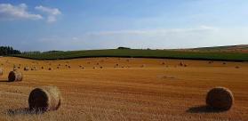 VIGNETTE SUIVI AGRO METEOROLOGIQUE - RELEVES REALISES