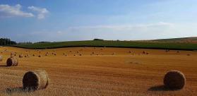 VIGNETTE SUIVI AGRO METEOROLOGIQUE PROCHAINS RELEVES