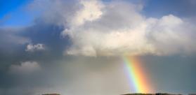 VIGNETTE SUIVI METEO STANDARD