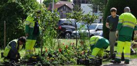 Vignette Bulletin Irrigation