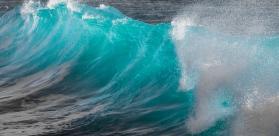 Vignette State of the sea