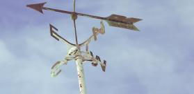 Vignette Rose des vents