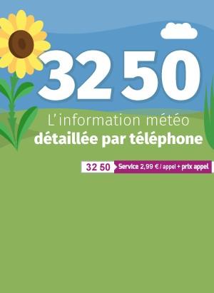 3250 - PREVISIONS METEO PAR TELEPHONE